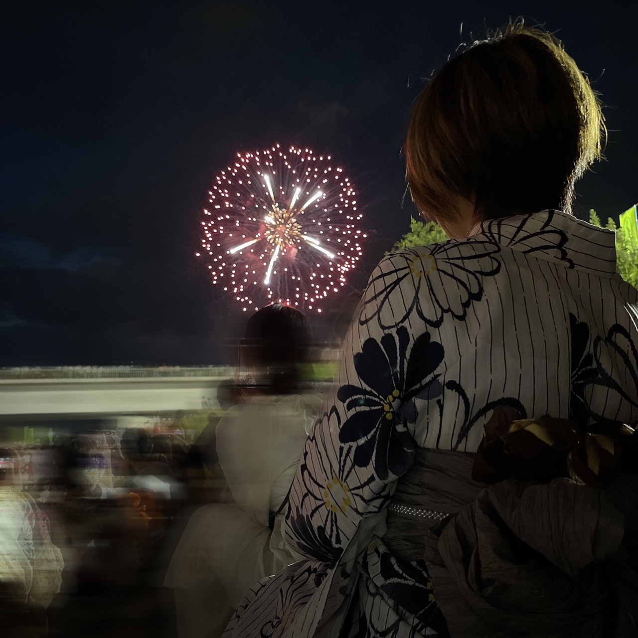 『水都くらわんか花火大会』